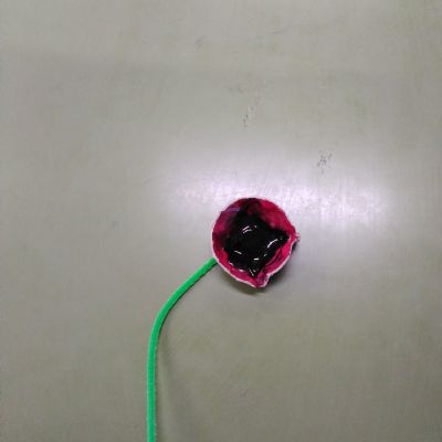 Small and Tall's November Round-up 2025