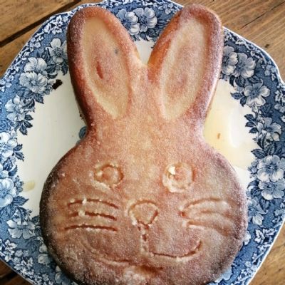 Ezra-Lemon-drizzle-rabbit