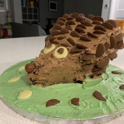 Jacks-Hedgehog-cake-2
