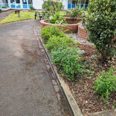 image24)